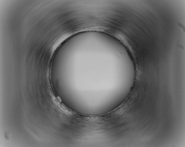 X0000099440952200805231714