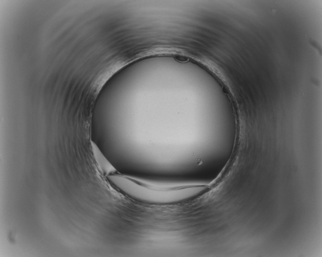 X0000099440953200805231714