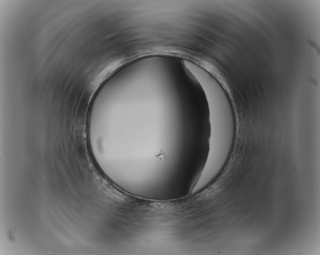 X0000099440954200805231714