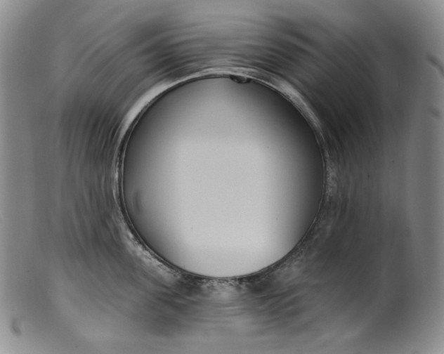 X0000099440955200805231714
