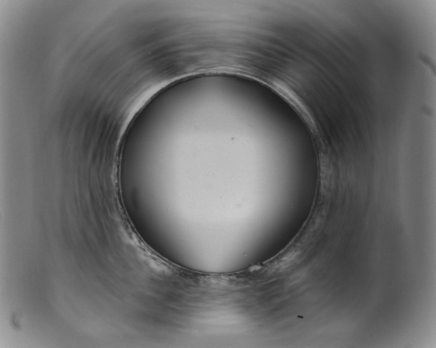 X0000099440956200805231714