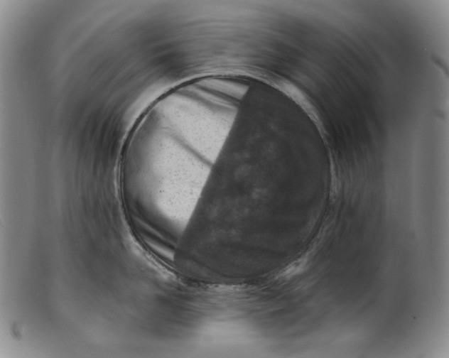 X0000099440958200805231714