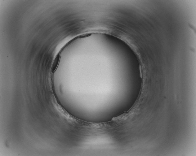 X0000099440960200805231714