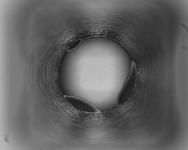X0000099440961200805231713