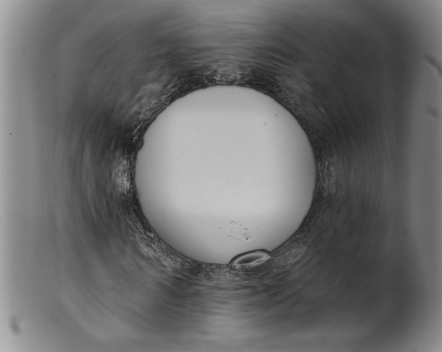 X0000099440962200805231713