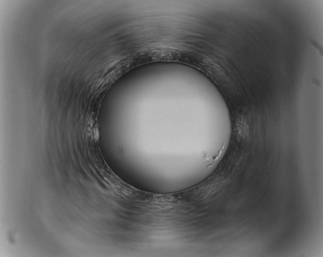 X0000099440964200805231713
