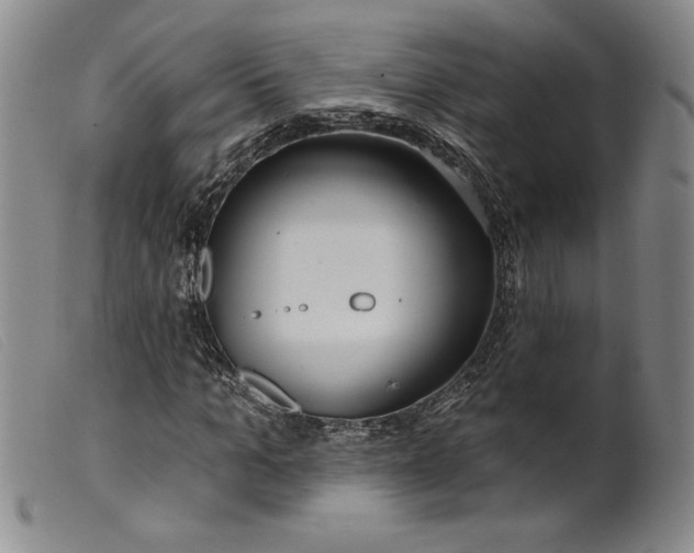 X0000099440965200805231713