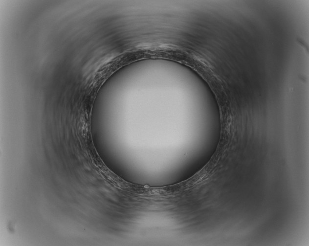 X0000099440966200805231713
