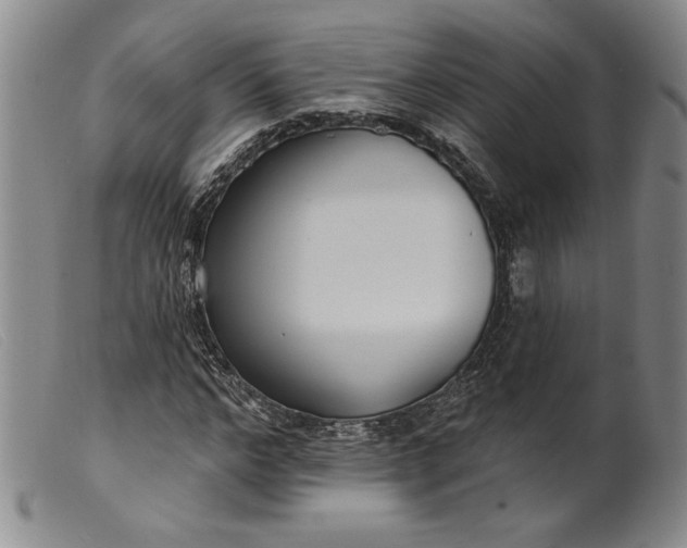X0000099440968200805231713