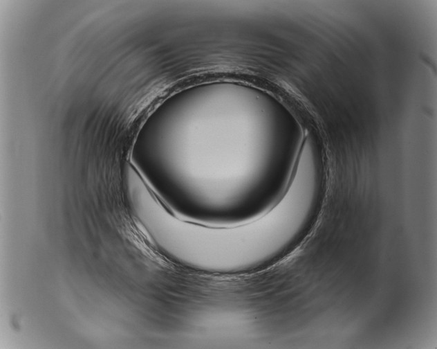 X0000099440969200805231713