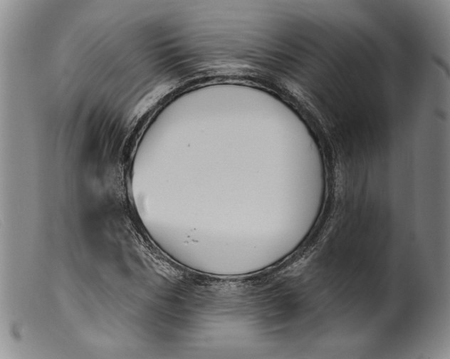 X0000099440970200805231713