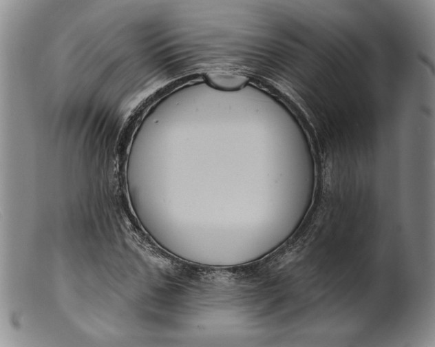 X0000099440971200805231713