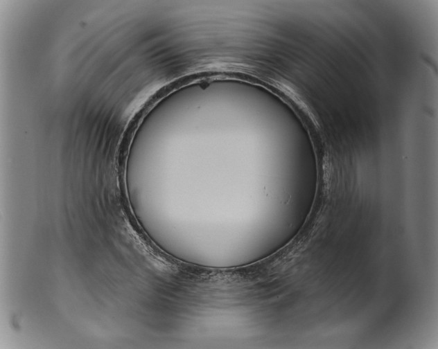 X0000099440972200805231713