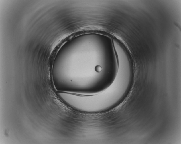 X0000099440973200805231713