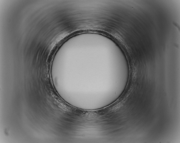 X0000099440974200805231713