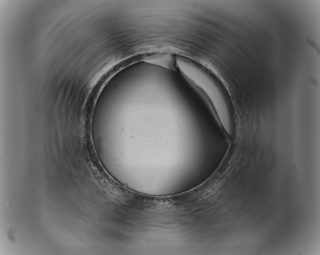 X0000099440975200805231713