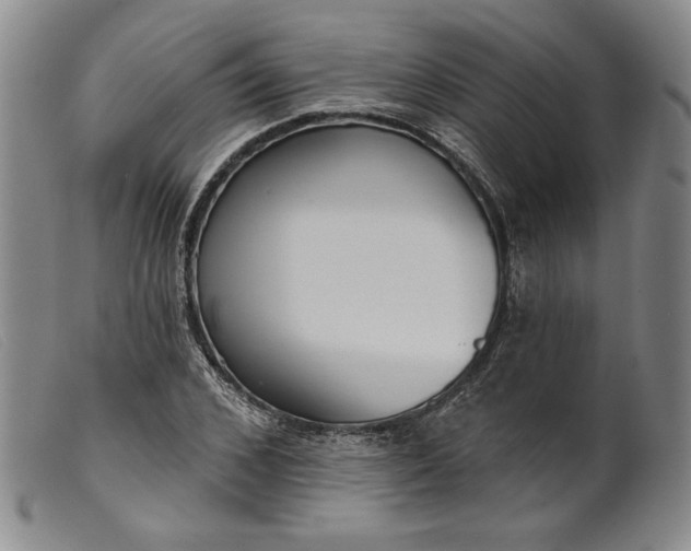 X0000099440976200805231713