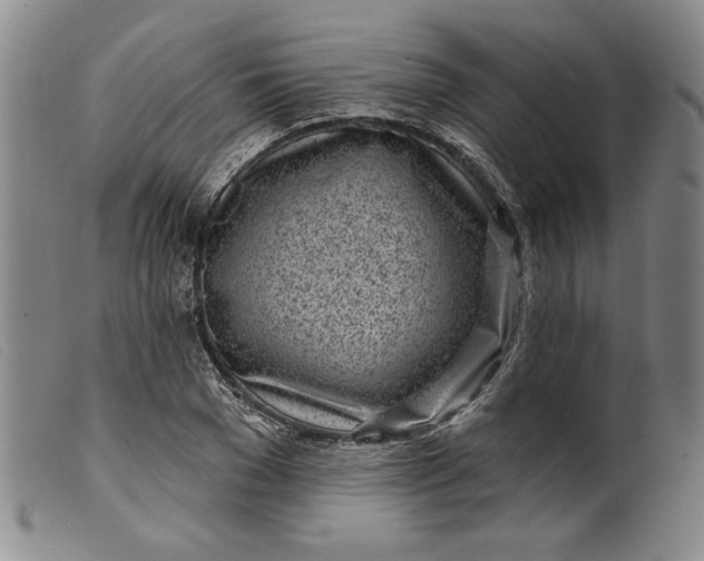 X0000099440977200805231713
