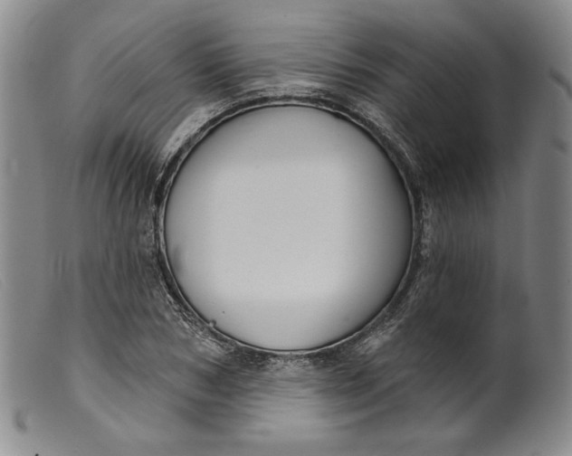 X0000099440978200805231713