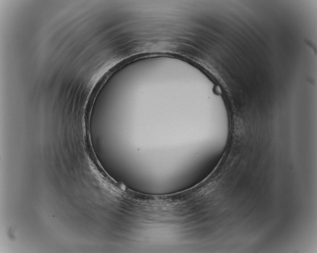 X0000099440980200805231713