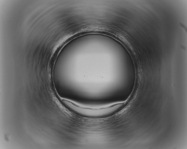 X0000099440981200805231713