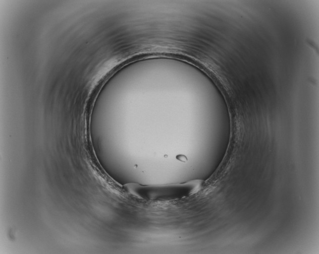 X0000099440982200805231713