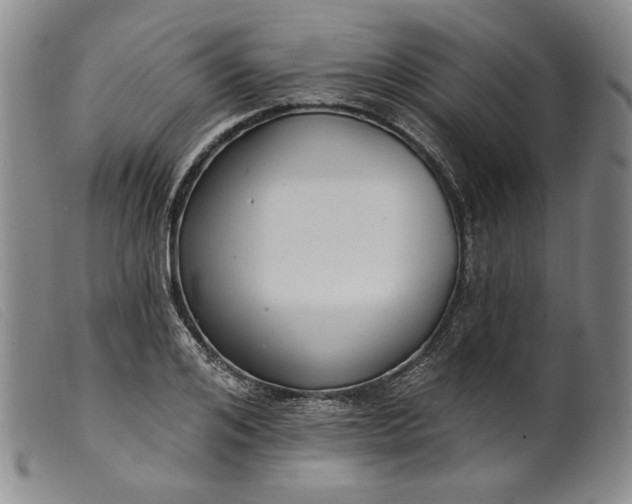 X0000099440984200805231713