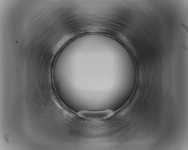 X0000099440986200805231713