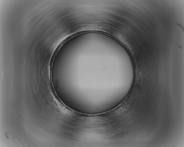 X0000099440988200805231713