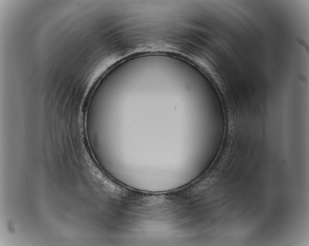 X0000099440990200805231713