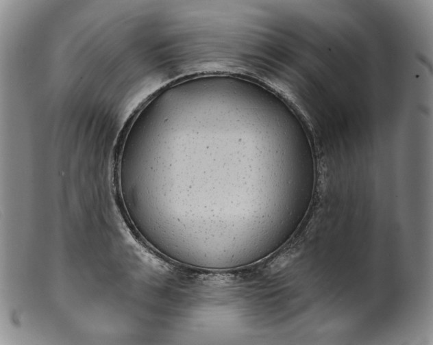 X0000099440991200805231713