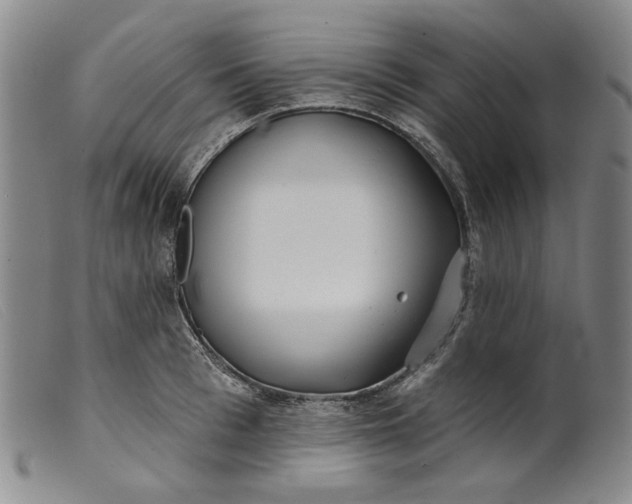 X0000099440993200805231713