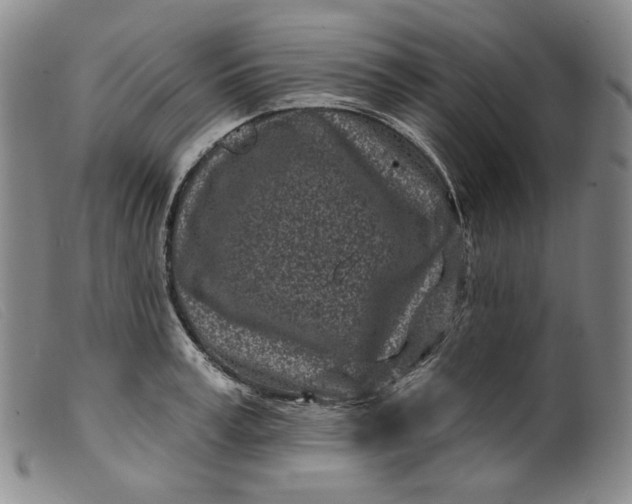 X0000099440995200805231713
