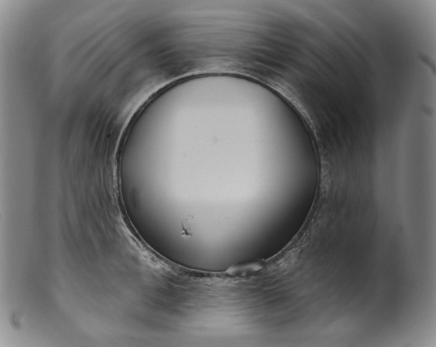 X0000099440996200805231713