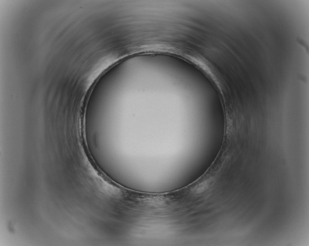 X0000099440999200805231713