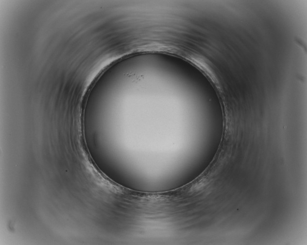 X0000099441000200805231713