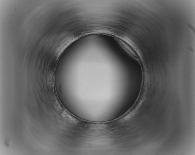 X0000099441001200805231713