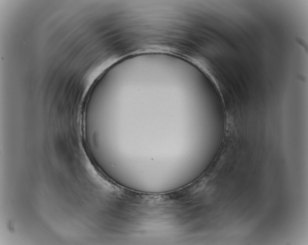 X0000099441003200805231713