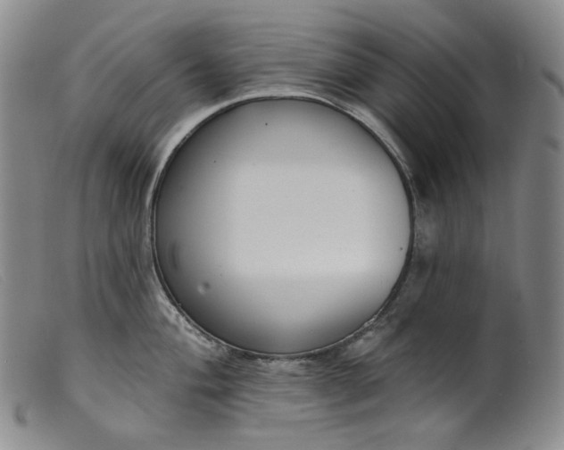 X0000099441004200805231713