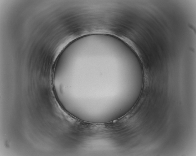 X0000099441006200805231713