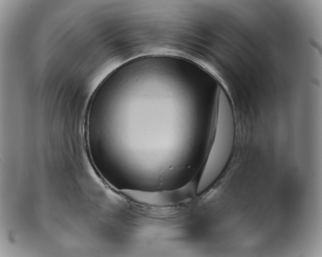 X0000099441007200805231713