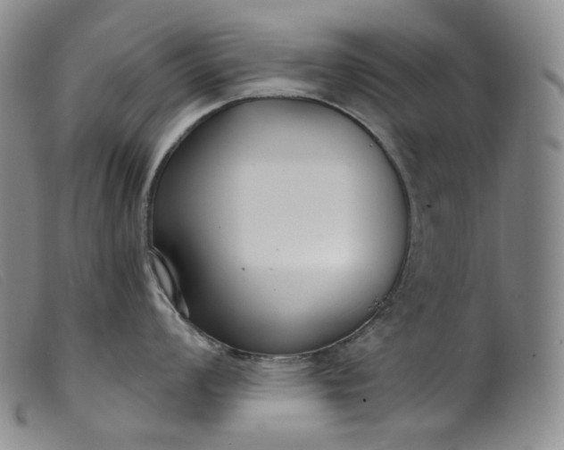 X0000099441008200805231713
