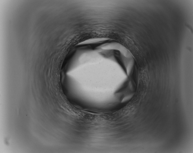X0000099441009200805231712