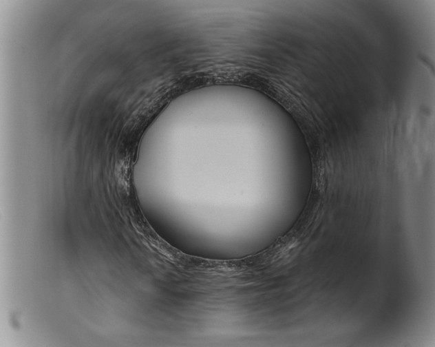 X0000099441010200805231712