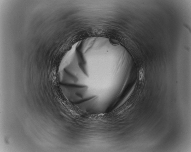 X0000099441011200805231712