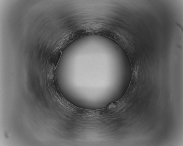 X0000099441012200805231712