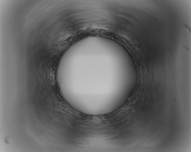 X0000099441013200805231712