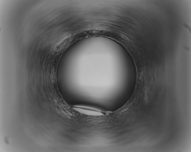 X0000099441014200805231712