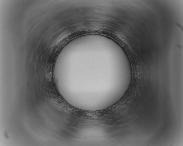 X0000099441015200805231712
