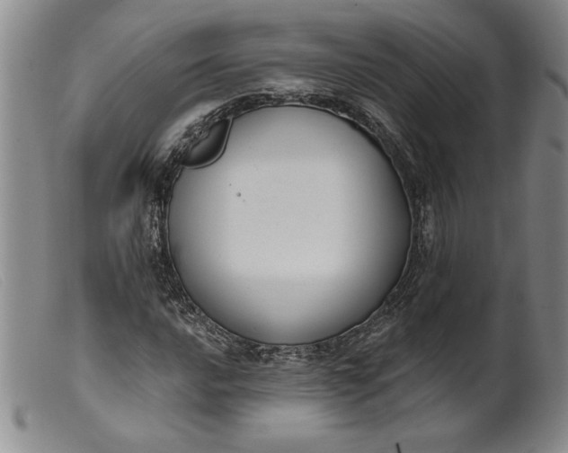 X0000099441016200805231712